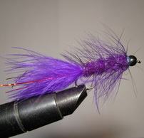 ���� Woolly Bugger  purple � 8 